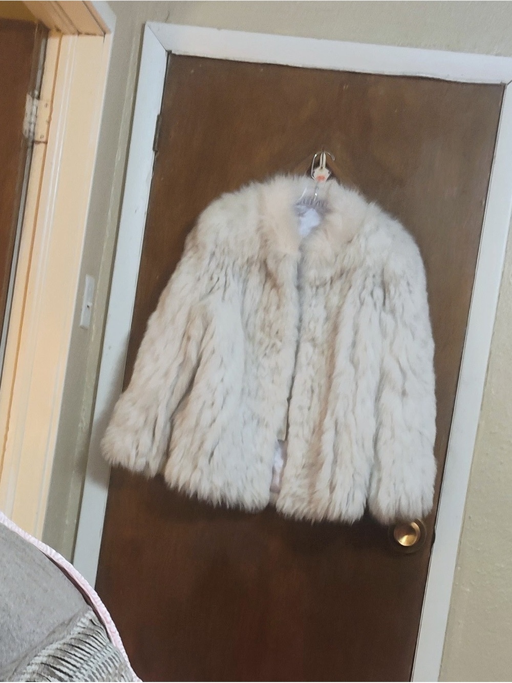 Soft & Fluffy Blue Fox Jacket